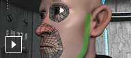 Maya 2